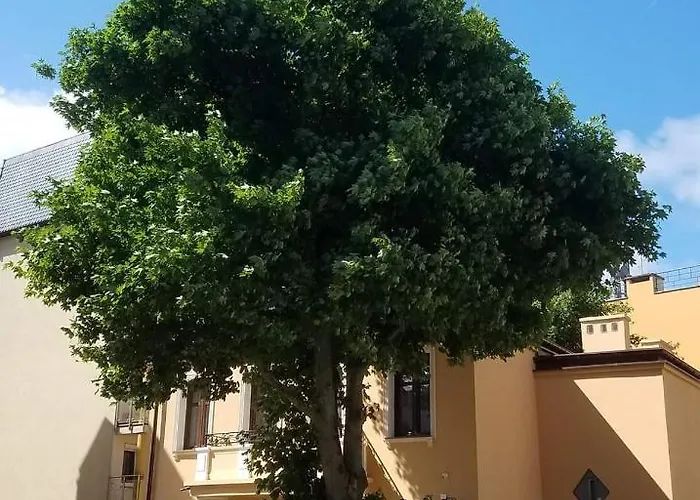 Na Cichej 5 A1